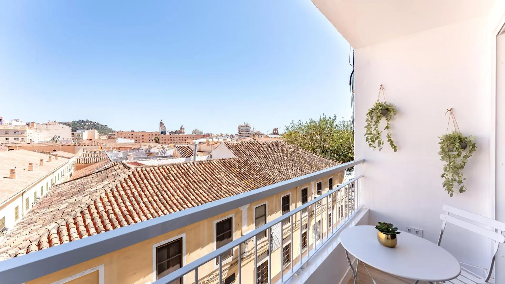 Bazan City Center Apartment contacts